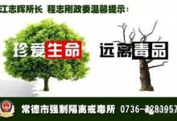 常德新闻爆料微信,揭秘本地热点事件背后的真相