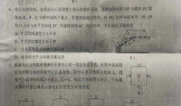 新真骨雕爆料视频播放下载,播放下载攻略一览