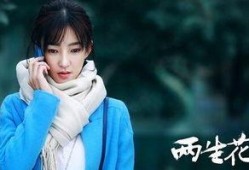两生花全集在线观看,穿越时空的奇幻之旅