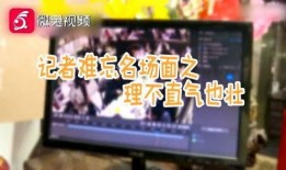 奇葩吃瓜娱乐,揭秘娱乐圈那些奇葩吃瓜娱乐事件