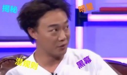 娱乐圈爆料成果黑幕,揭开明星背后的黑幕真相